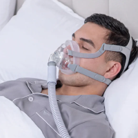 Siesta 2 Full Face Mask On thumbnail